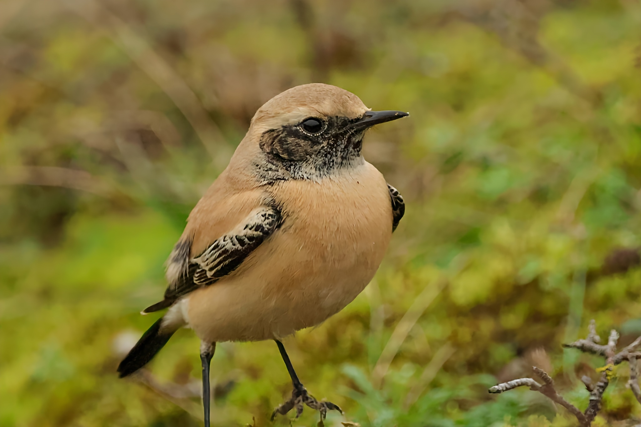 Profielfoto van framesbykevin