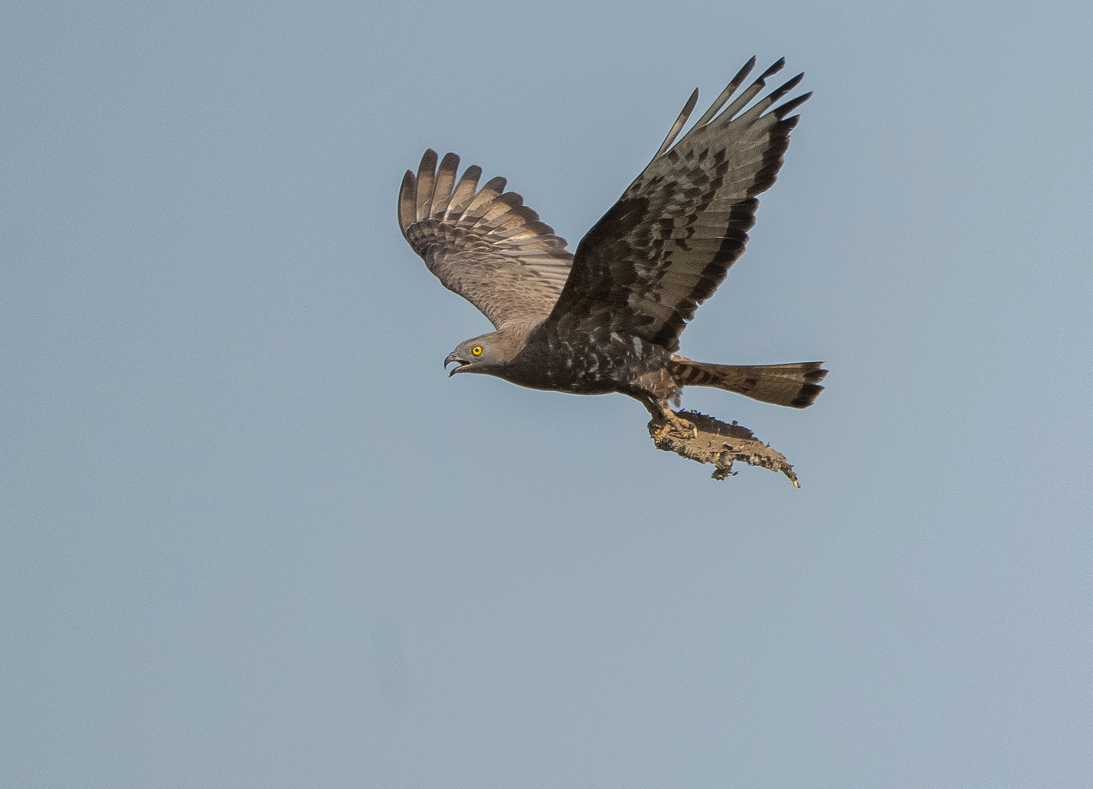 Profielfoto van zurrik01