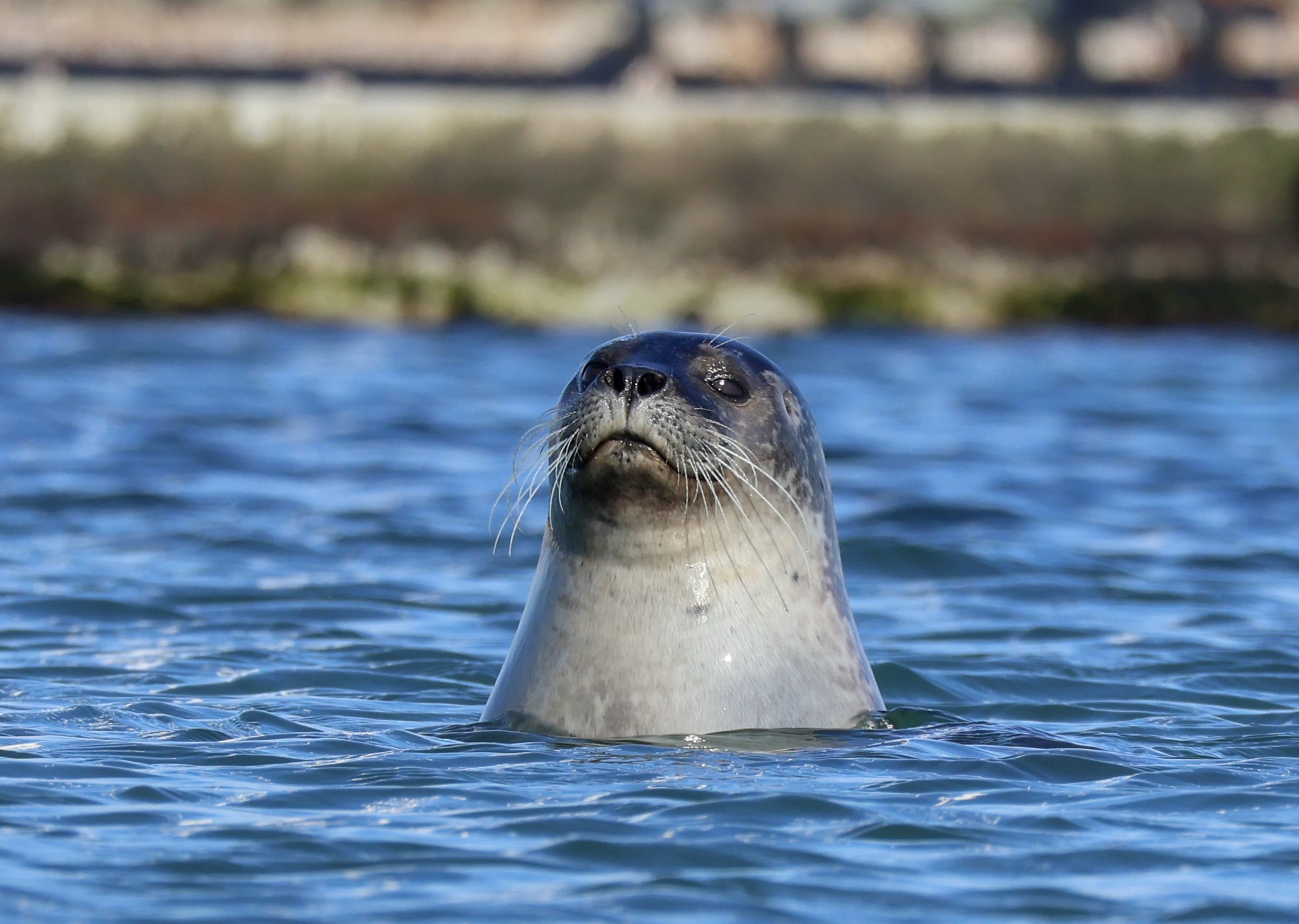 Profielfoto van juri_van_den_berg