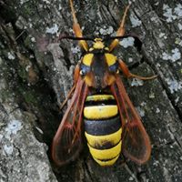 Profielfoto van Geert de Lange