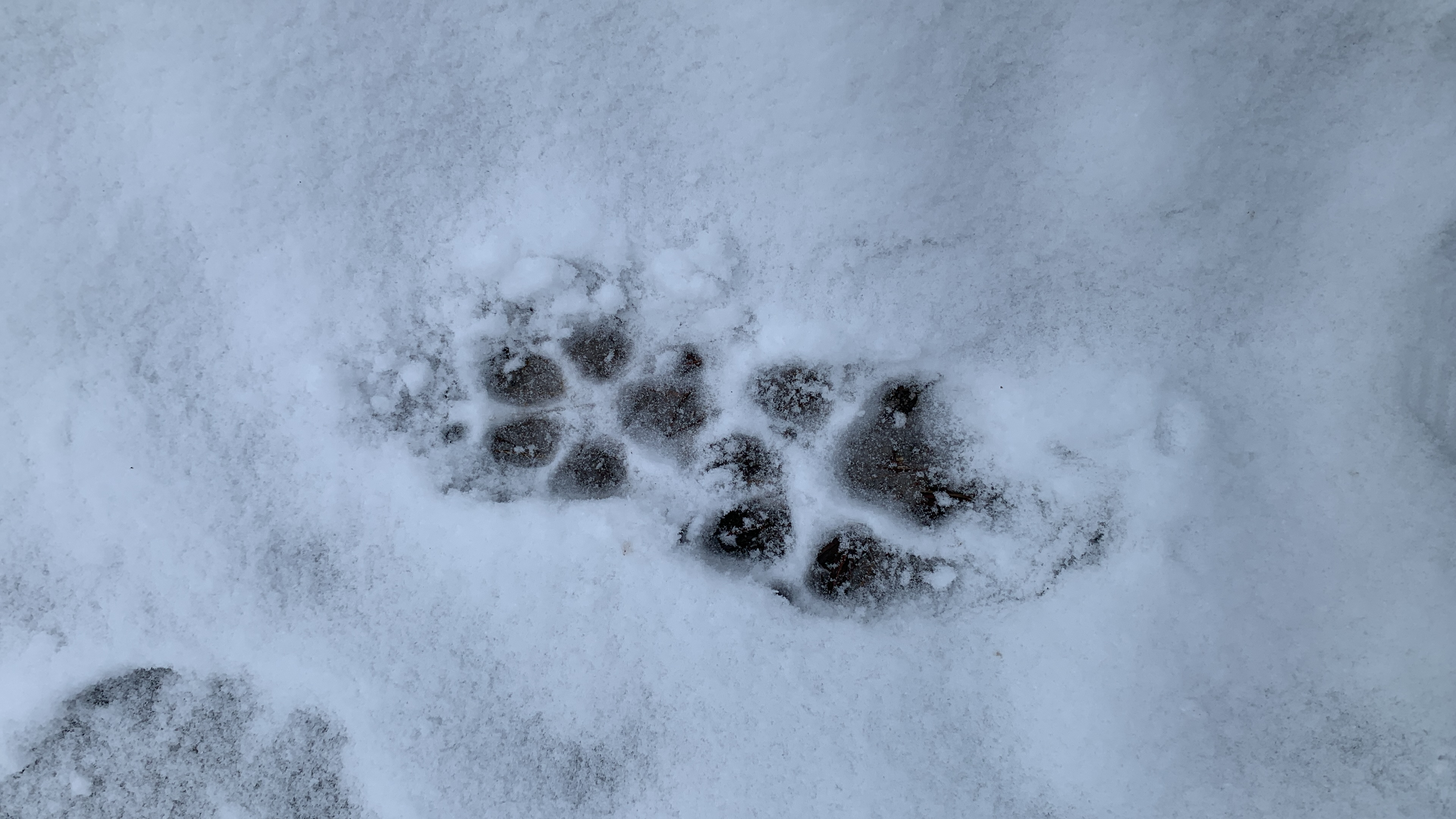 Profielfoto van Veluwnaar