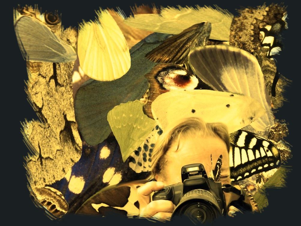 Profielfoto van vlindervrouwke