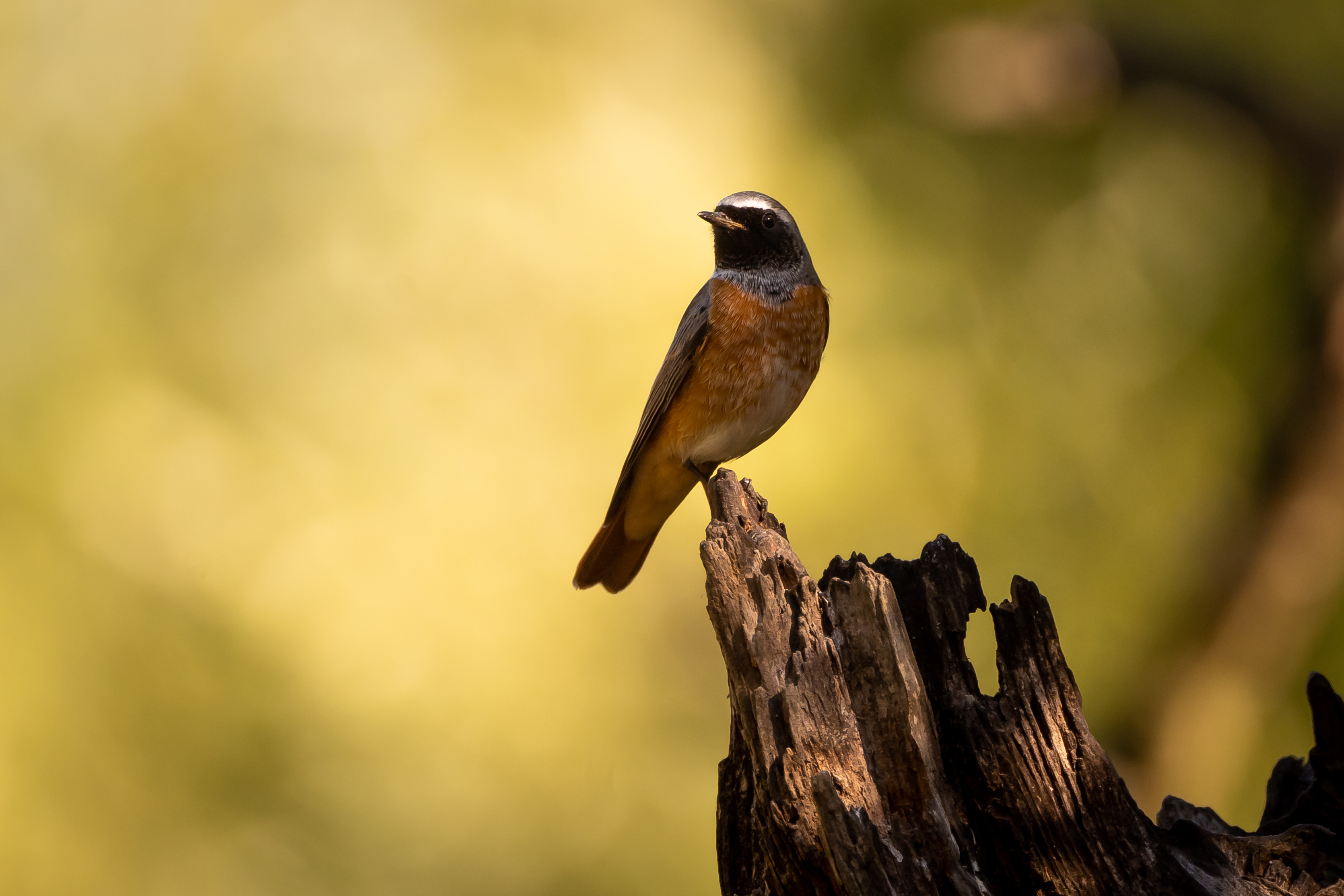 Profielfoto van Anne-marieke21