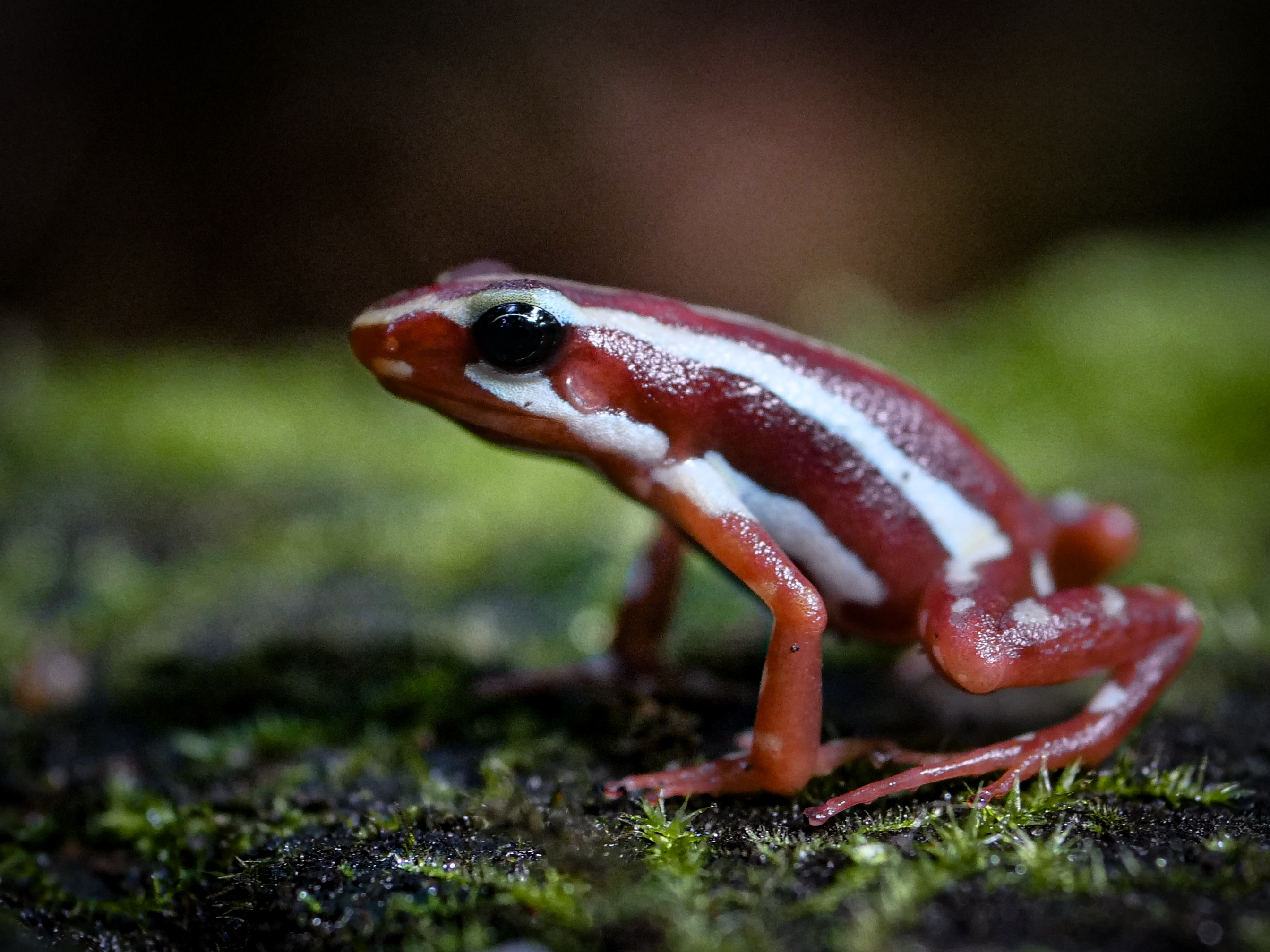 Profielfoto van lydia-rensink