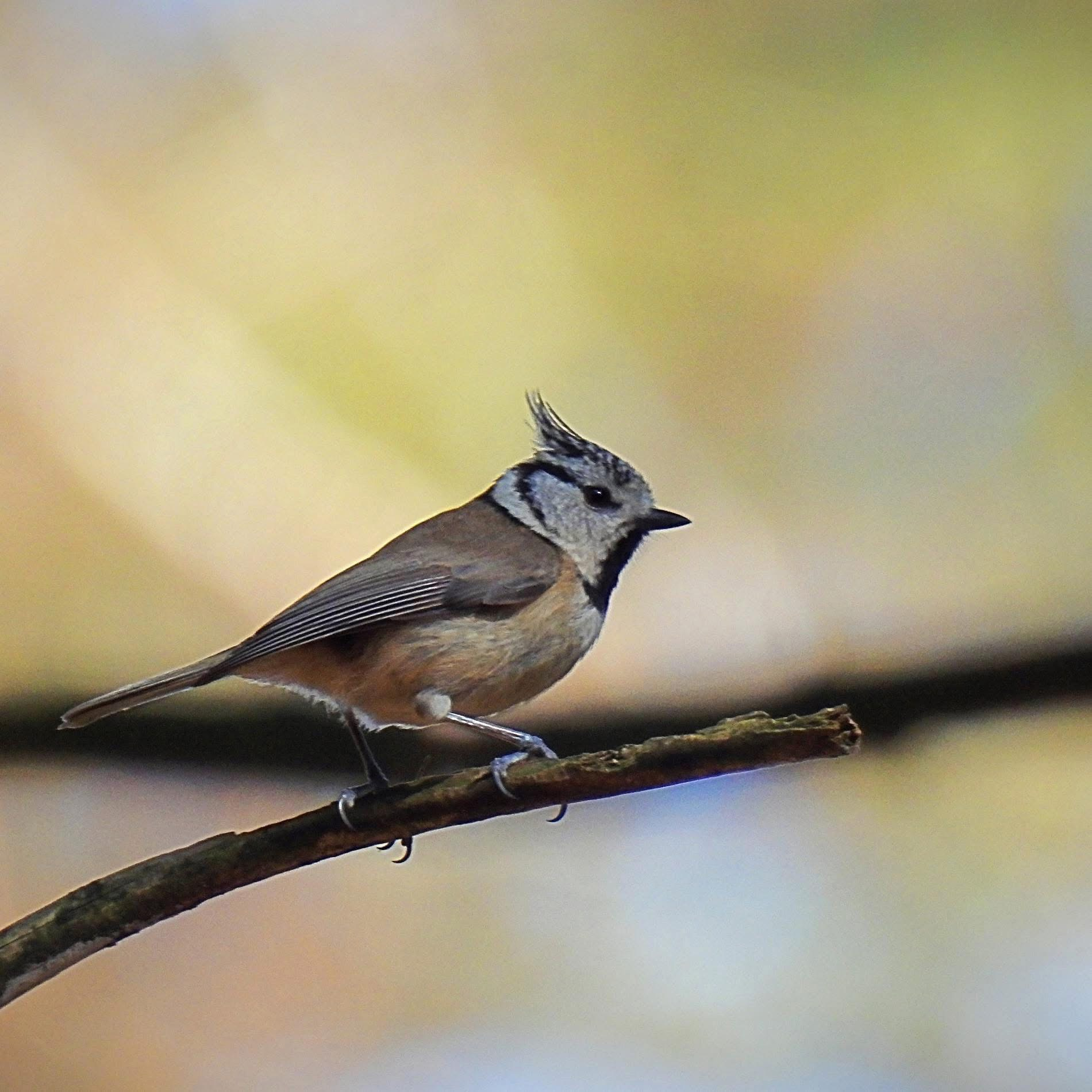 Profielfoto van lekkerwandelenindenatuur
