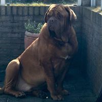 Profielfoto van Maikdelta