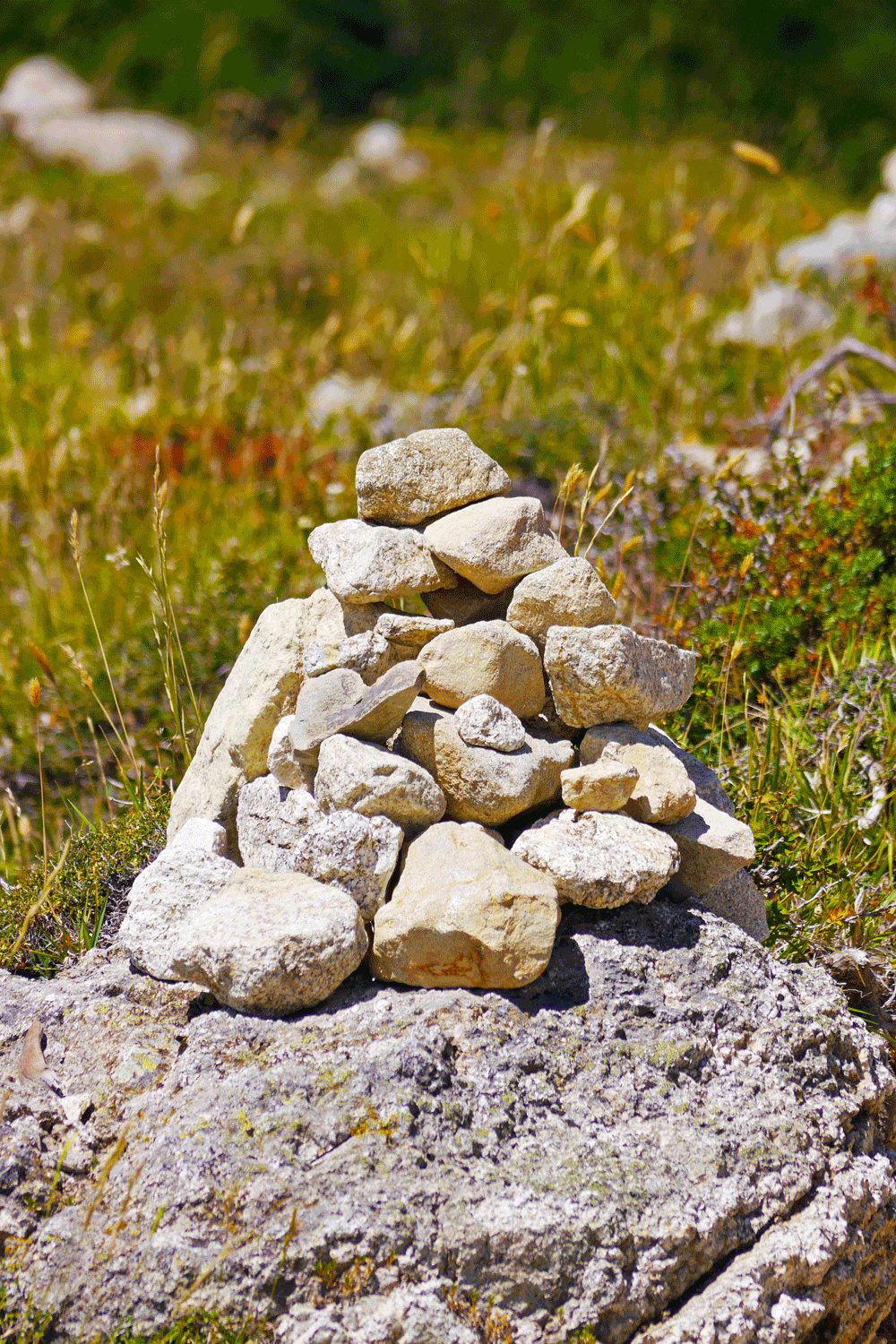 Profielfoto van Erwin68
