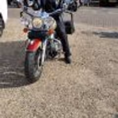 jetty50