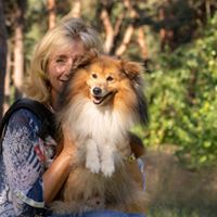 Profielfoto van Andorquinto