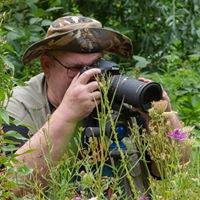 Profielfoto van harrie van der keijlen