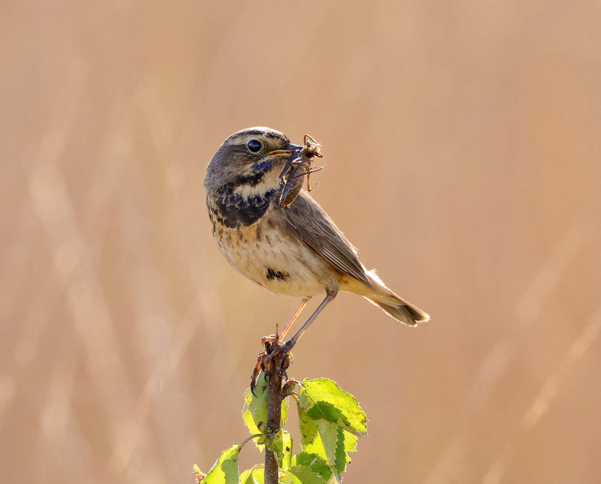 Profielfoto van dirkbw