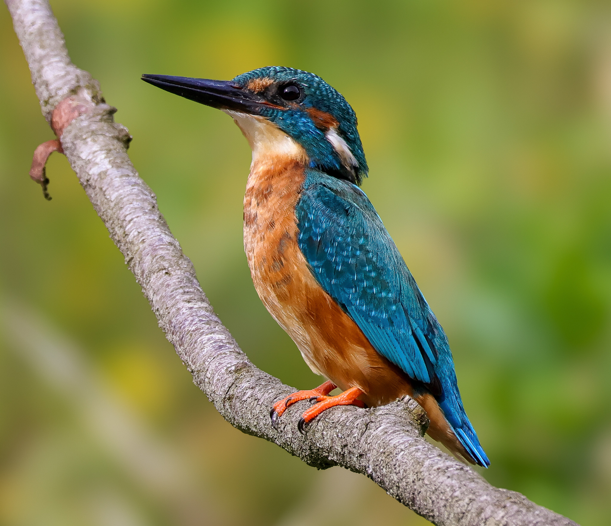 Profielfoto van dirkbw