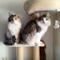 Profielfoto van #mooienatuur2018