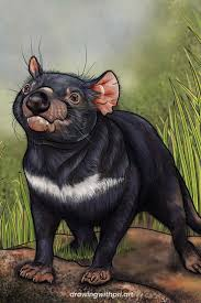 Profielfoto van k.brinkman