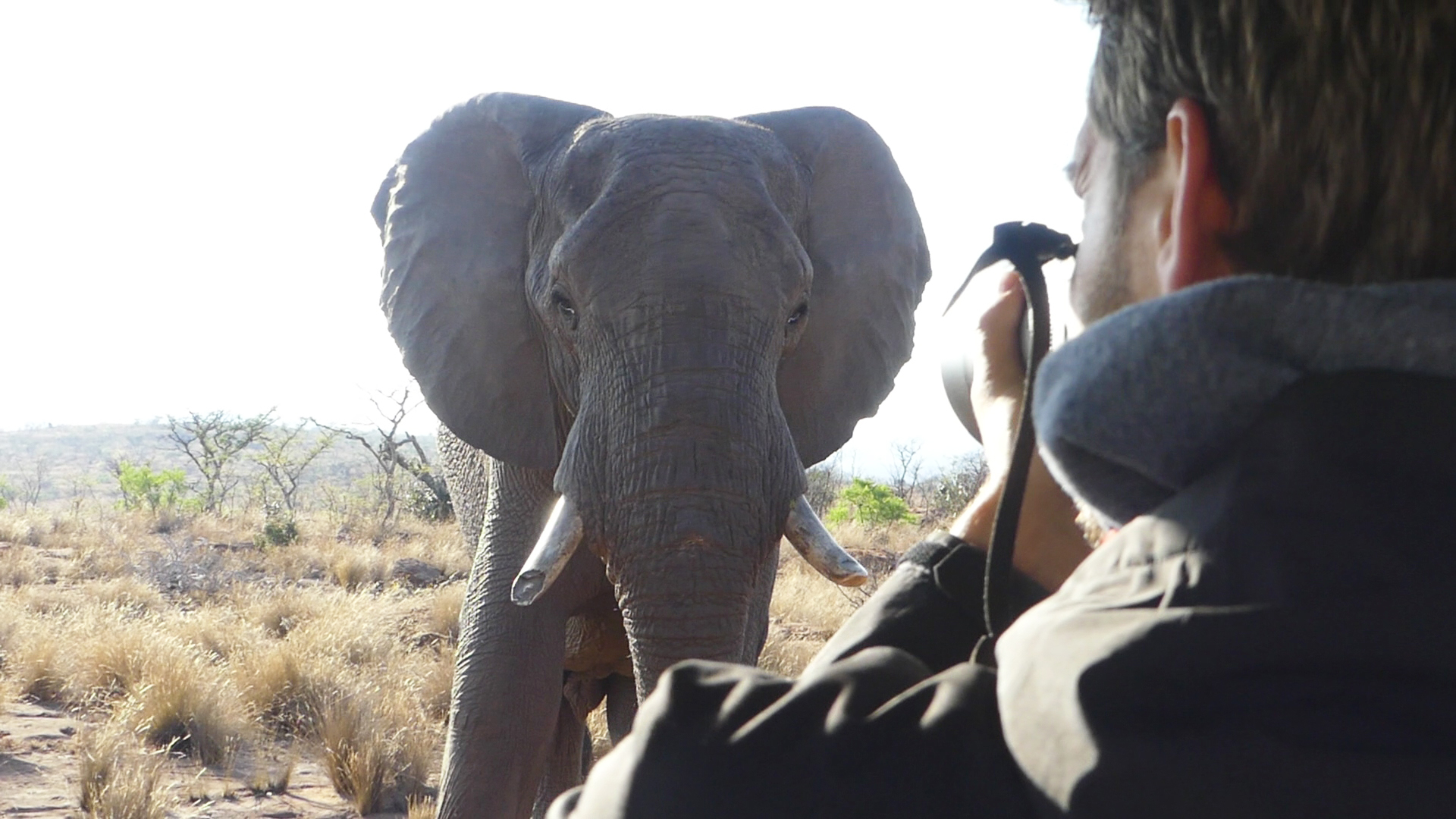Profielfoto van robjansenphotography