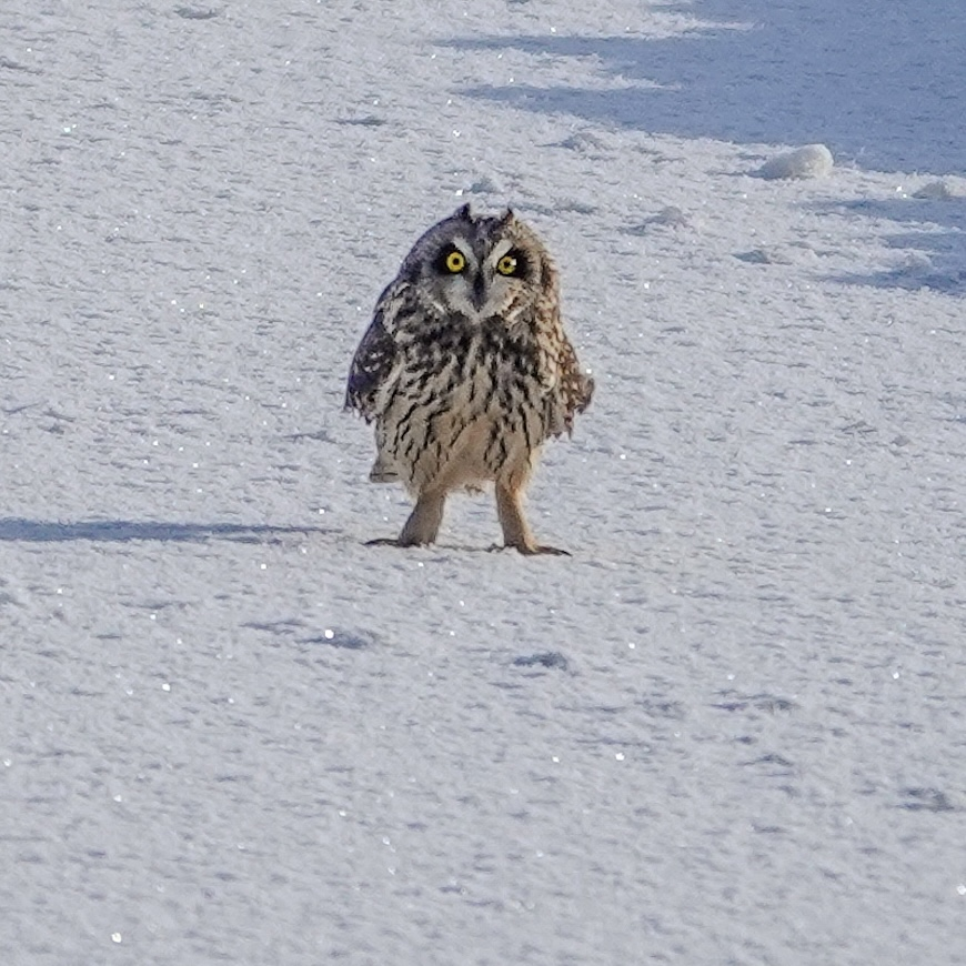 Profielfoto van stephannl