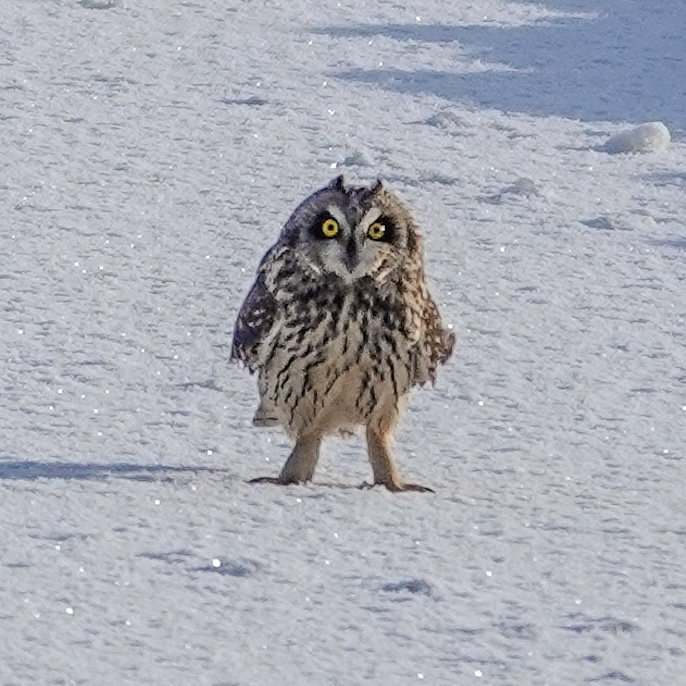 Profielfoto van stephannl