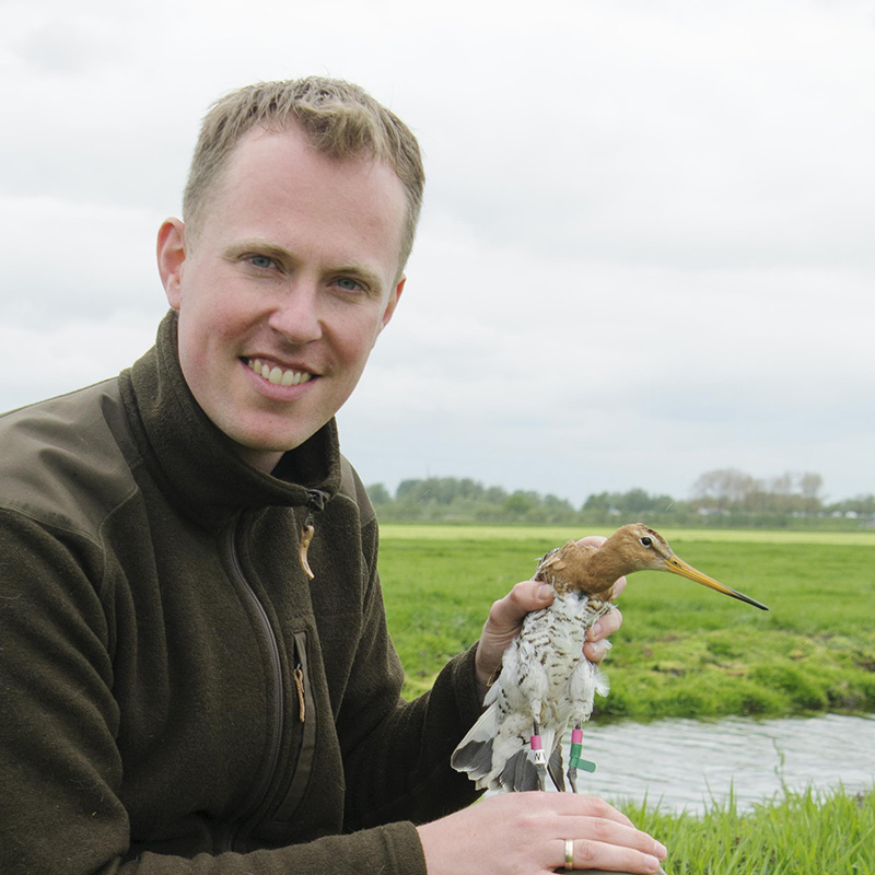 Profielfoto van brnrd