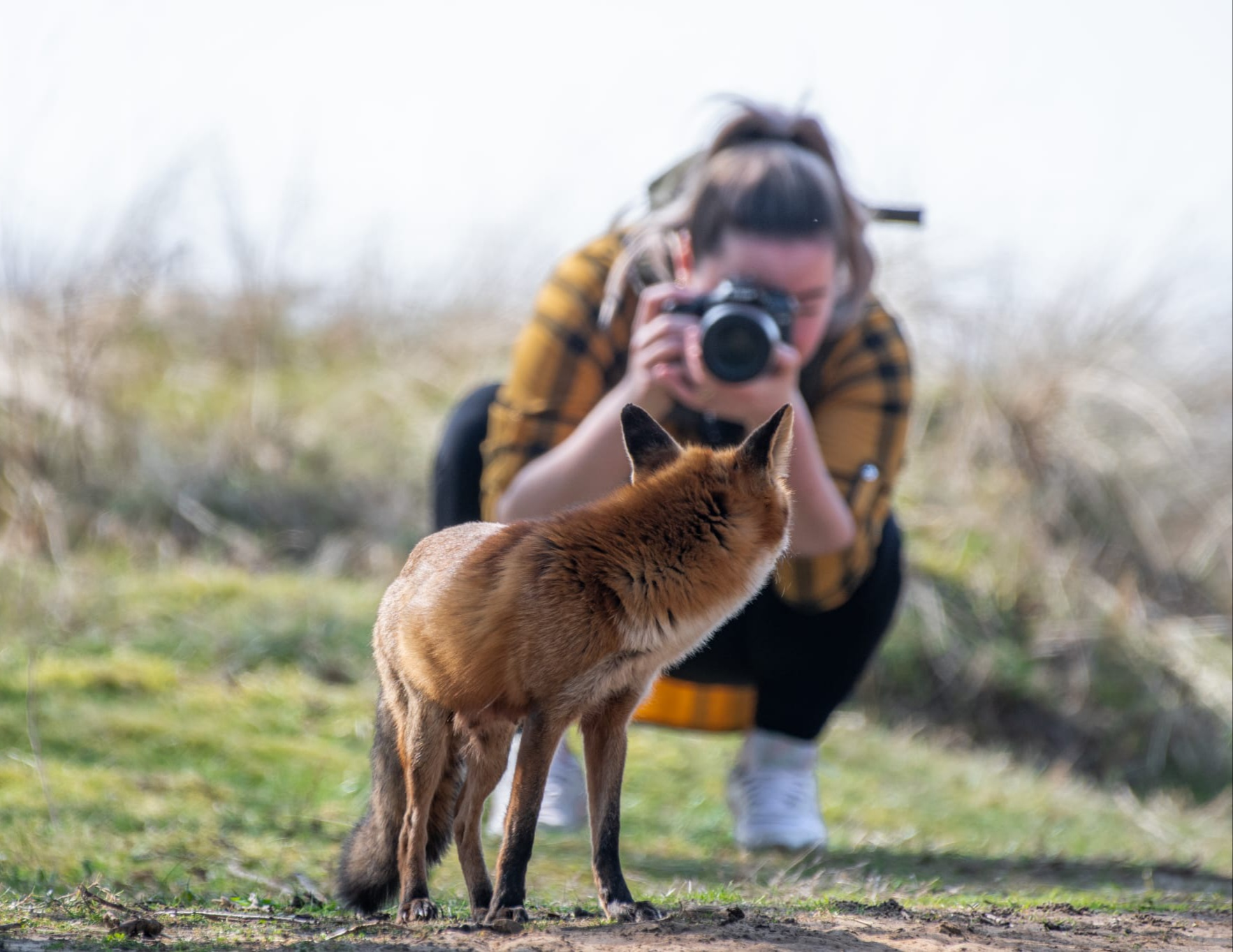 Profielfoto van Vanlimpt_photography