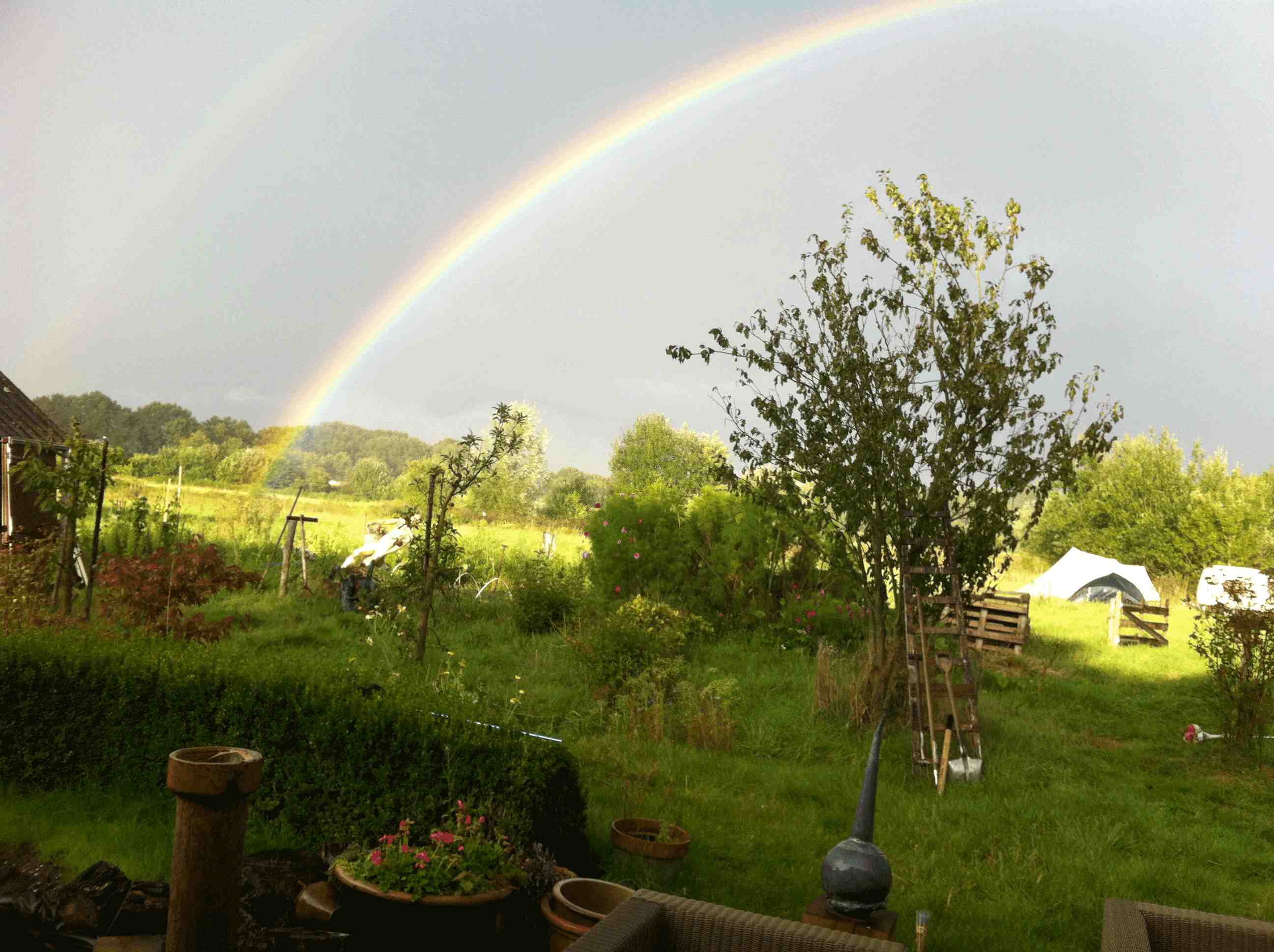 Profielfoto van Martinhahabos