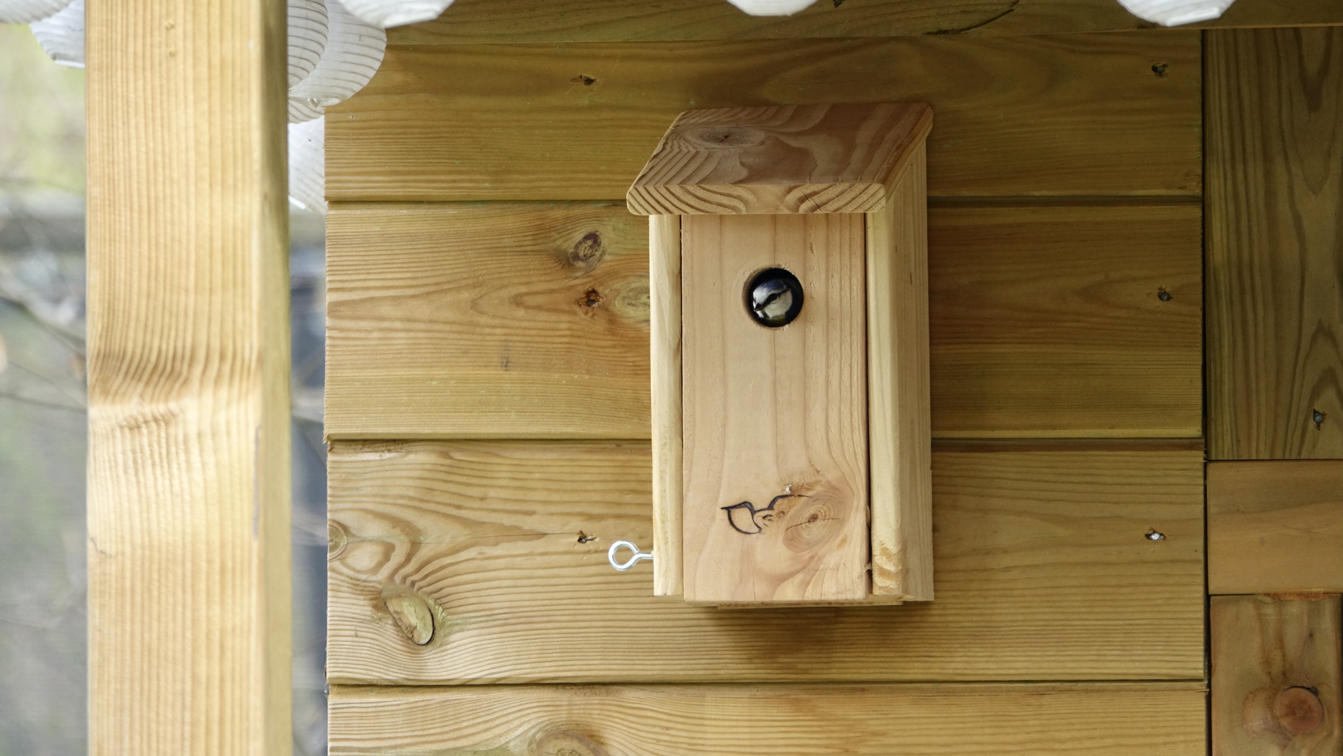 Profielfoto van mjtvo