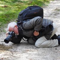 Profielfoto van robstreep