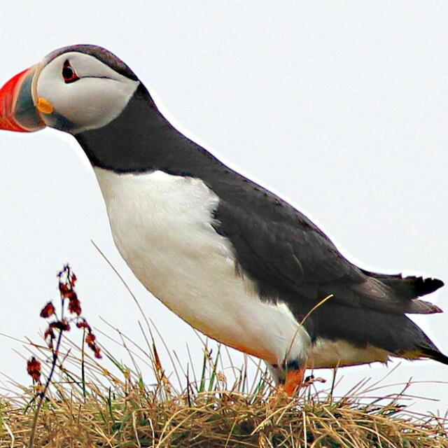 Profielfoto van witandre