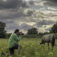 Profielfoto van wim van vliet