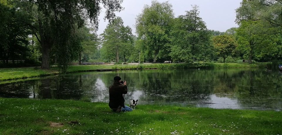Profielfoto van glanzende raaf